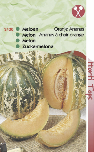Meloen Oranje Ananas 1,99