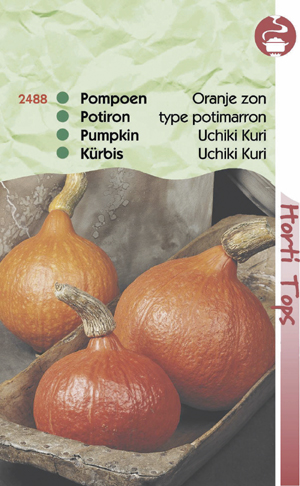 Pompoen Oranje Zon 1,99