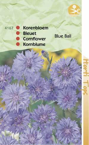 Centaurea bleu ball dubbelbloemig 0.69