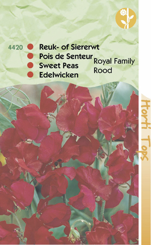 Lathyrus royal family rood Reuk of Siererwt) 1.25