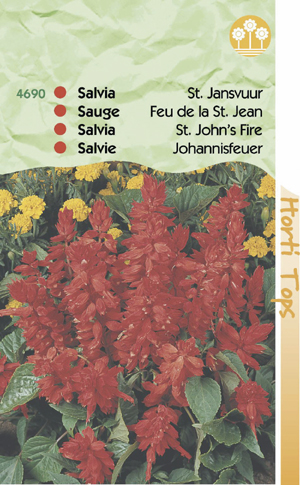 Salvia sint jansvuur scharlaken 1.25