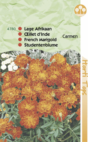 Tagettes ( Afrikaantjes) Carmen roestbruin - geel 0.69