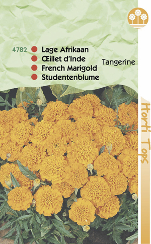 Tagettes ( Afrikaantjes) Diep oranje 0.69