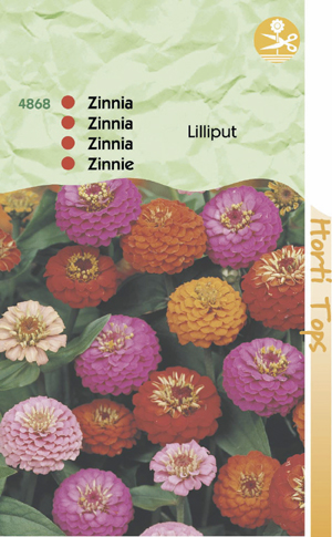 Zinnia lilliput ( pompon ) dubbelbloemmig 0.79