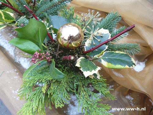 Kerststukje v.a. 2,99 Kerststukje v.a. 2,99