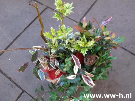 Plantenbak Plantenbak
