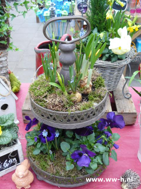 Voorjaar arrangement in soorten Voorjaar arrangement in soorten