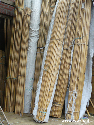 Bamboe stokken div. lengtes prijs op o.a.