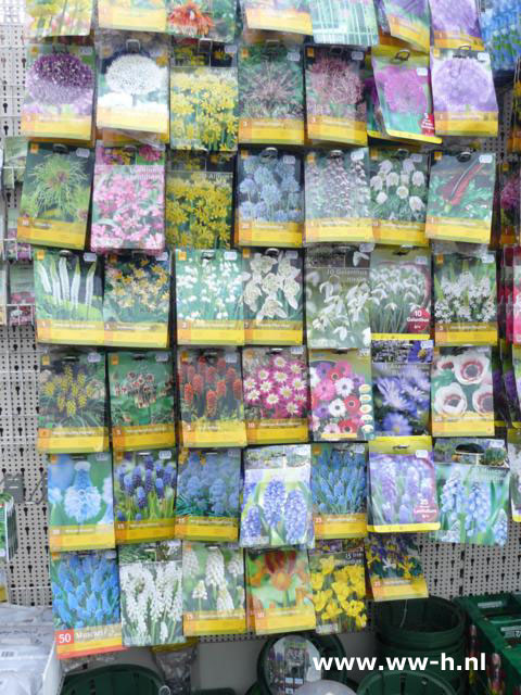 Bloembollen assortiment Bloembollen assortiment