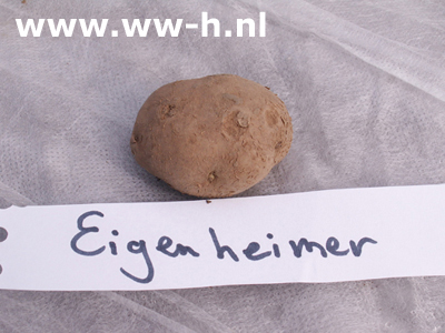Eigenheimer E 28 / 35 per kilo 2,50