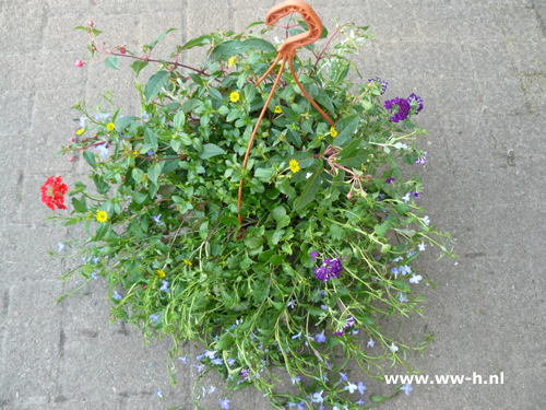 Hangpot groot gemengde bloemen Hangpot groot gemengde bloemen