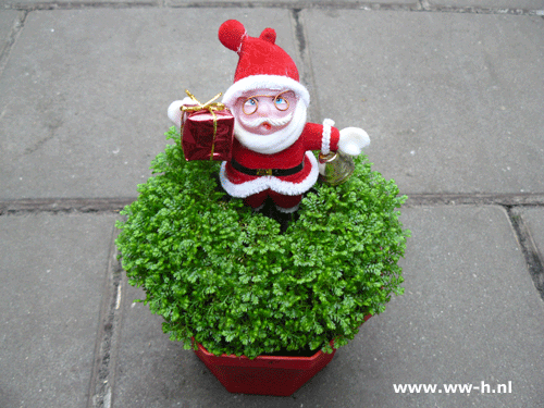 Kerstman met plant 2,99 Kerstman met plant 2,99