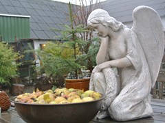 1-advent