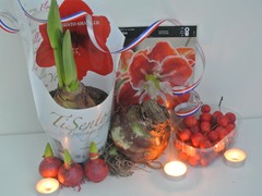37-in sfeer
