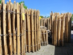 35-Kastanjehout