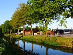 49-Slinke Elleboog