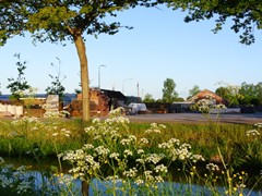 51-Wiebe Wesstra