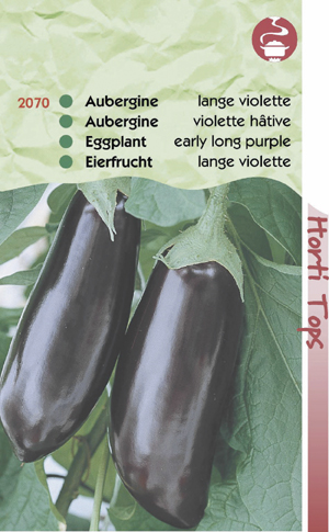 Aubergine lange violette 1,39