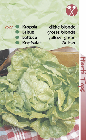 Sla Kropsla blonde traagschietende 0.89