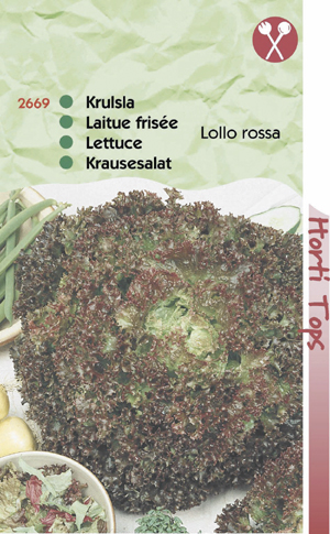 Sla Krulsla Lollo Rossa 1,25