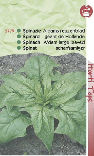 Spinazie amsterdamse reuzenblad ( 100 gram ) 1,99