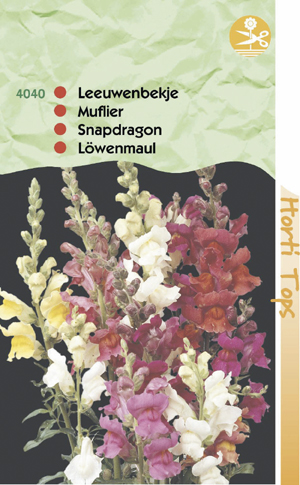 Antirrhinum maximum gemengd 0.69