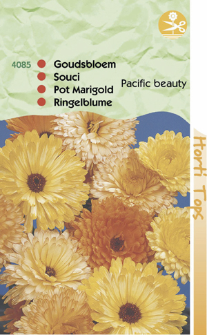 Callendula Goudsbloem pacific beauty gemengd 0.69 - Klik op de afbeelding om het venster te sluiten