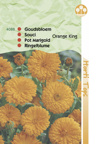 Callendula Goudsbloem Oranjekoning donker hart 0.79