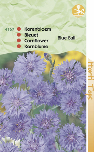 Centaurea bleu ball dubbelbloemig 0.69 - Klik op de afbeelding om het venster te sluiten