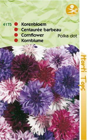 Centaurea polka dot gemengd 0.79 - Klik op de afbeelding om het venster te sluiten