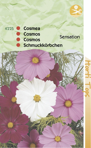 Cosmea bipinnata sensation ( Cosmos ) 0.79 - Klik op de afbeelding om het venster te sluiten