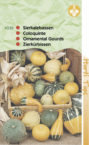 Cucurbita ( Sierkalebassen ) kleinvrucht gemengd 0.79 - Klik op de afbeelding om het venster te sluiten