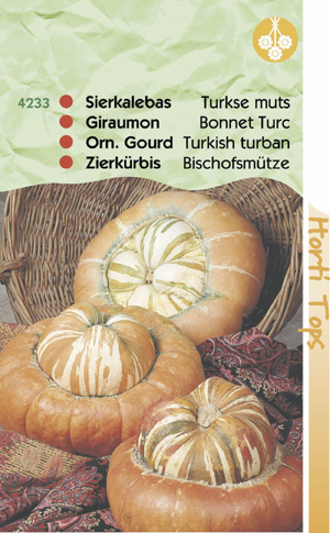 Cucurbita ( Sierkalebassen ) Turkse muts 1.25