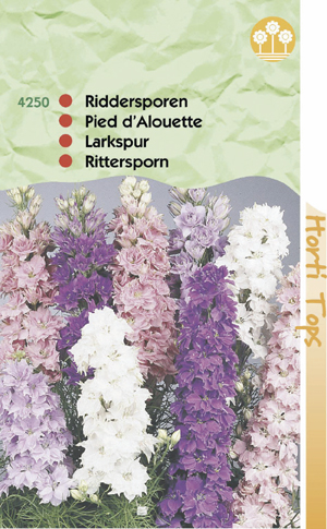 Delphinium ajacis hyacinthbl gemengd ( Riddersporen ) 0.89 - Klik op de afbeelding om het venster te sluiten