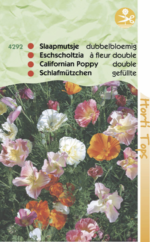 Echhsholtzia ( Slaapmutsje ) dubbel bloemig gemengd 0.99 - Klik op de afbeelding om het venster te sluiten