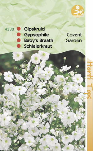 Gypsophila (Gipskruid) covent garden grootbloemig gem. wit 0.69