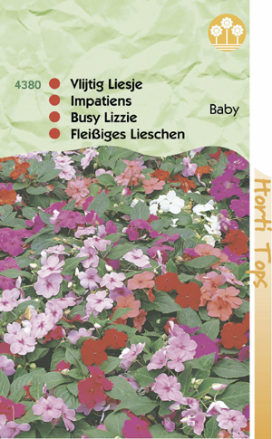 Impatiens ( Vlijtigliesje ) nana baby gemengd 1.25 - Klik op de afbeelding om het venster te sluiten