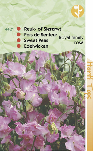 Lathyrus royal family rose(Reuk of Siererwt) 1.25 - Klik op de afbeelding om het venster te sluiten