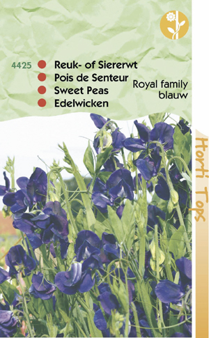 Lathyrus royal family blauw( Reuk of Siererwt) 1.25 - Klik op de afbeelding om het venster te sluiten
