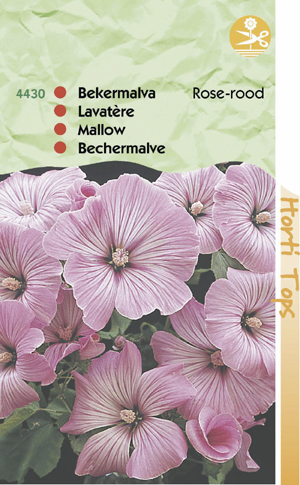 Lavatera grootbloemig rose - rood 0.69