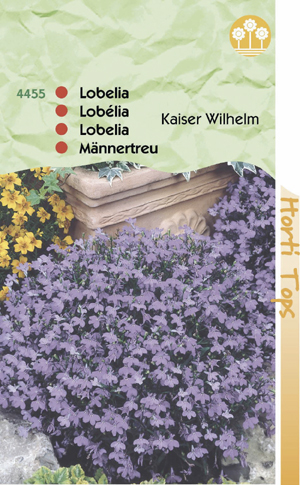 Lobelia kaiser Wilhelm 1.25