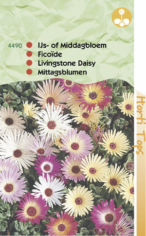 Mesembryyanthemum IJs of middagbloem kleurenmengsel 0.69 - Klik op de afbeelding om het venster te sluiten