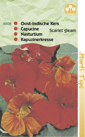 Tropaeolum ( oost- indische kers) scarlet gleam dubbelbl. 0,99 - Klik op de afbeelding om het venster te sluiten