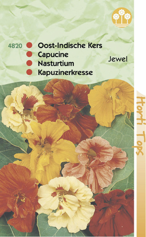 Tropaeolum ( oost- indische kers) jewel dubbel bl. 0.99 - Klik op de afbeelding om het venster te sluiten