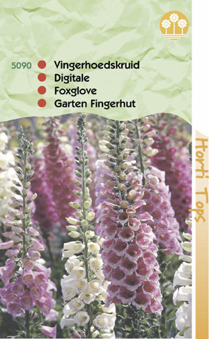 Digitalis ( Vingerhoedskruid ) gloxinia-bloemig gemengd 0.69 - Klik op de afbeelding om het venster te sluiten