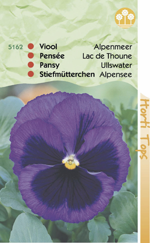 Viola alpenmeer donkerblauw met vlek 1.19