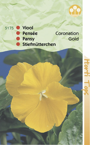Viola coronation goudgeel 1.19