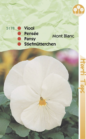 Viola mont blanc ivoor wit 1.19