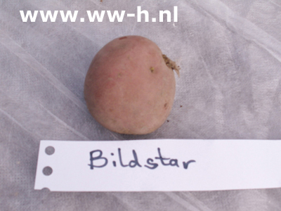 Bildstar per kilo A 28 / 35 ; 2,75